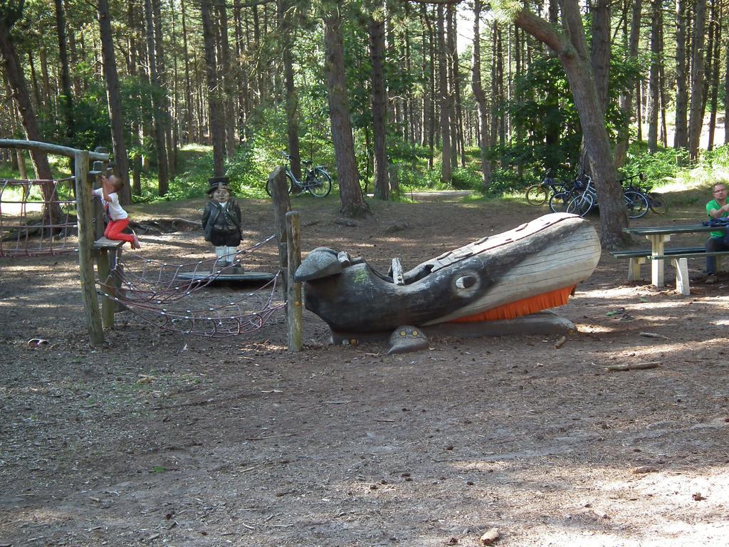 Hollumerstrand Hollum  Cameră foto